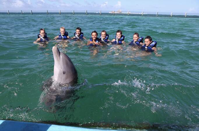 Les Miss ont eu la chance de nager au milieu des dauphins !