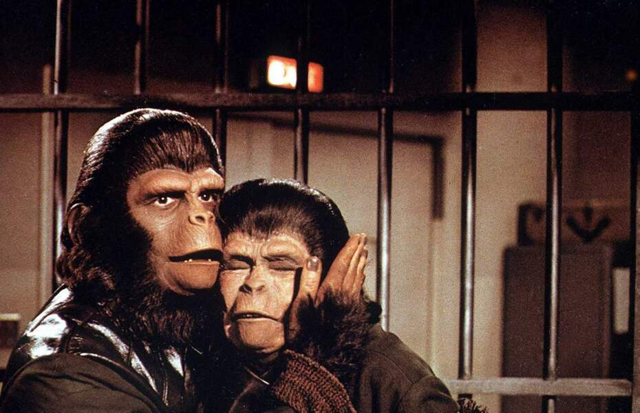 La planète des singes : l'évolution des costumes depuis les années 60 - Les évadés De La Planète Des Singes