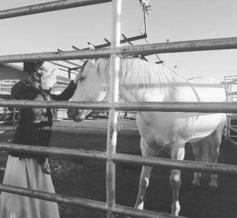 Plus originale, Jessica Chastain a posé avec un cheval. 