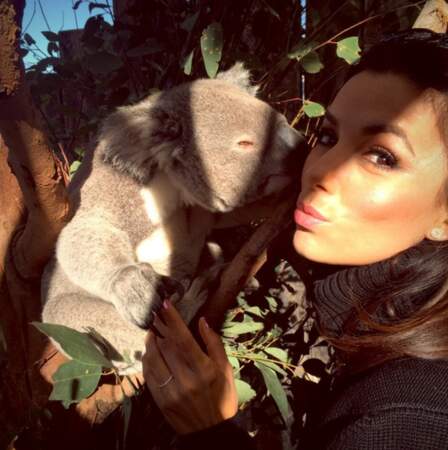 Elle adore les koalas ! Et il le lui rendent bien. 