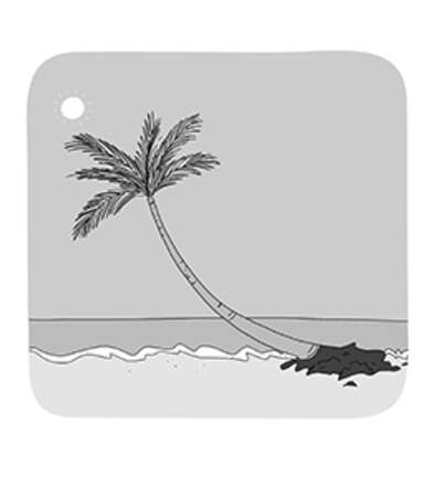 Pourquoi les palmiers penchent-ils au bord de l'eau ?