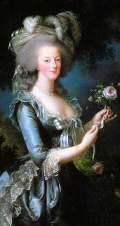 La reine Marie-Antoinette 