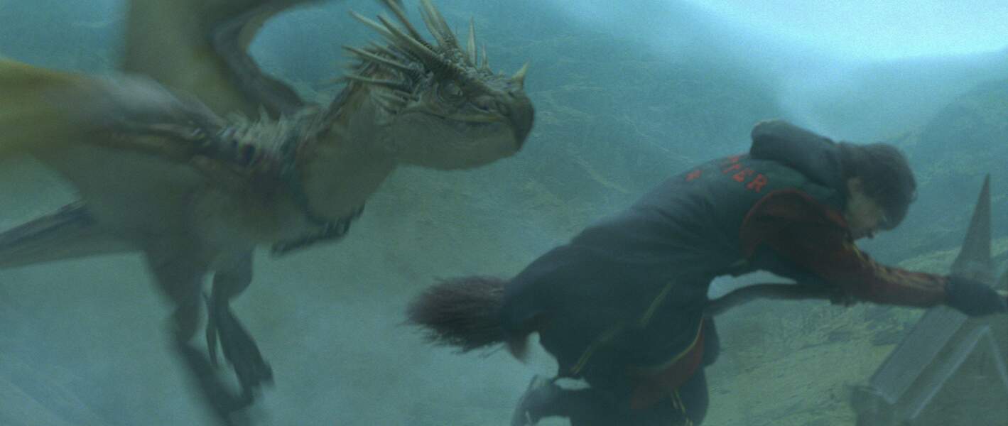 Harry Potter et la coupe de feu (2005) : même l'apprenti sorcier a dû affronter un dragon
