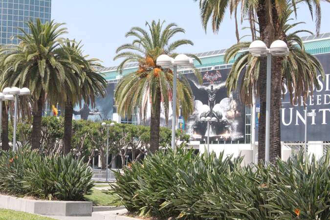A Los Angeles, il y a des palmiers... 