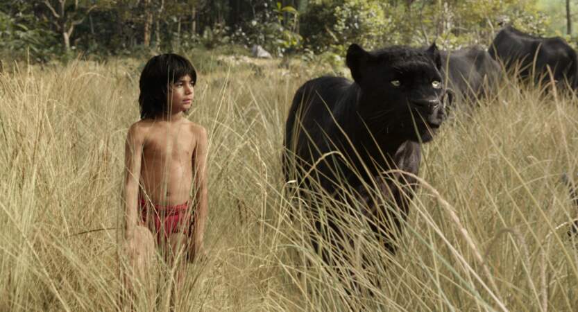 Dans le film de Jon Favreau, Bagheera en live-action, aux côtés de l'enfant sauvage