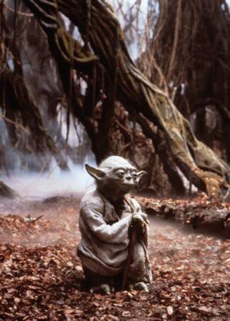Yoda dans L'Empire contre-attaque, le meilleur film de la saga (à ce jour)