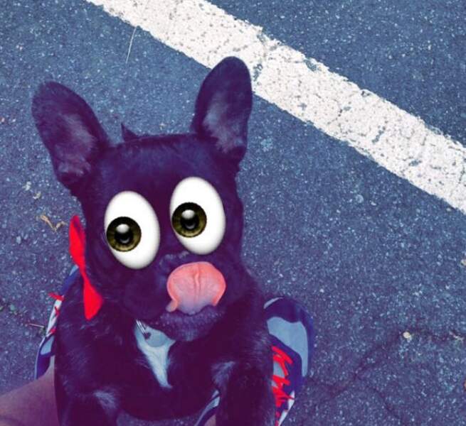 Cara est un chien de son époque, déjà "a-croc" à Snapchat