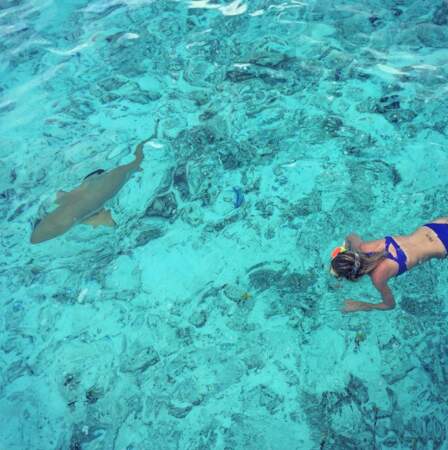 Et Laeticia Hallyday a même nagé avec un requin. OK il est petit mais quand même ! 