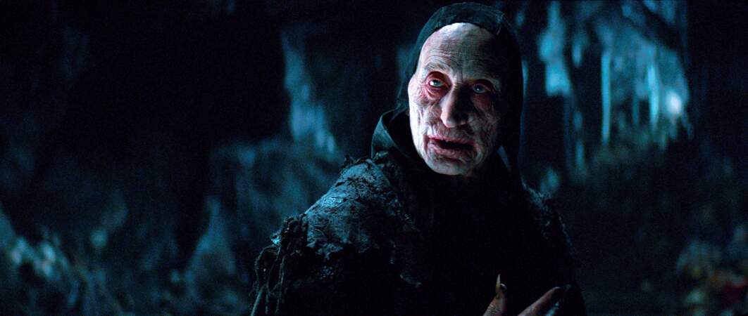 L'acteur a une grande carrière derrière lui : Dracula Untold (photo), Underworld, Alien 3, Swimming Pool.. 