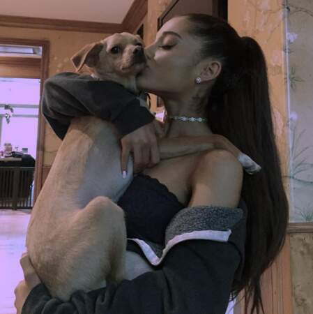 Ariana Grande a embrassé un chien (à défaut de lécher des donuts).