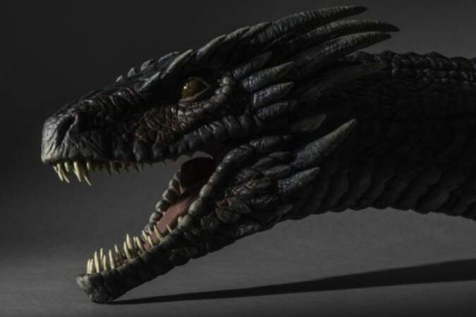 L'un des dragons de Khaleesi