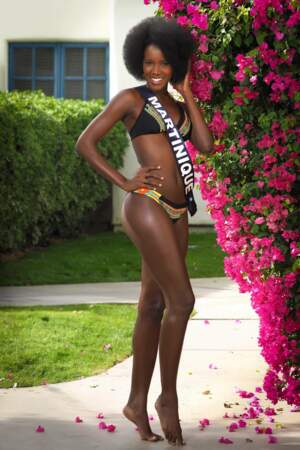 Laure-Anais Abidal, Miss Martinique