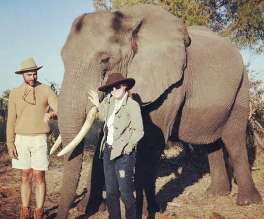 Cette veinarde de Jessica Chastain et son mari Gian Luca Passi de Preposulo ont croisé des éléphants au Botswana. 