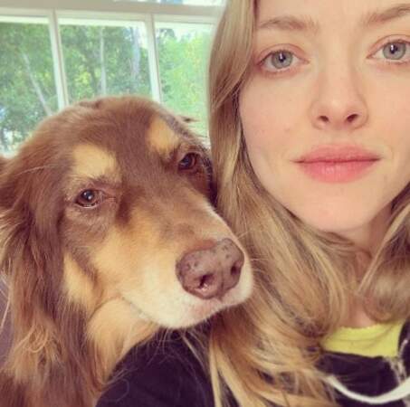 Amanda Seyfried et son chien ont fait leur plus beau selfie de couple. 