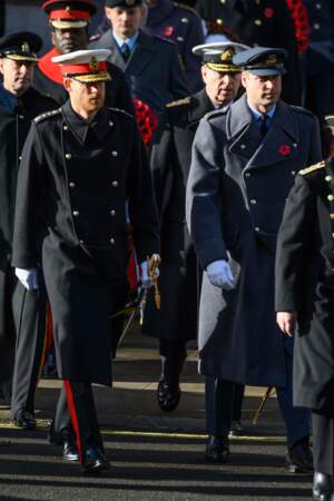 Les princes William et Harry arrivent à la cérémonie en mémoire de l'Armistice du 11 novembre 2018