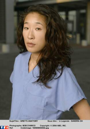 L'intrépide Cristina, chirurgienne surdouée, devient la meilleure amie de Meredith