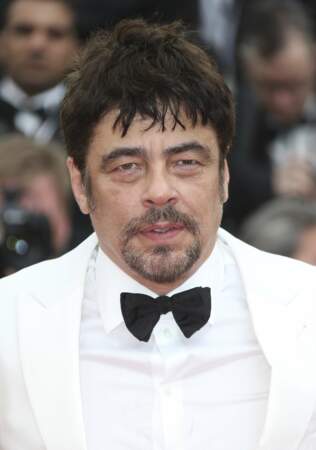 Benicio del Toro, Président du jury Un Certain Regard