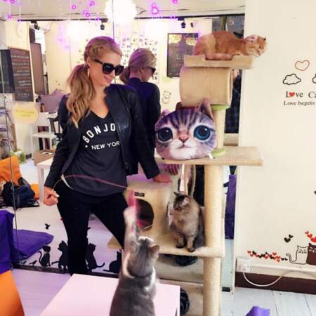 Paris Hilton s'est rendue dans un cat café, ces endroits où boire un café en dorlotant des boules de poils. 