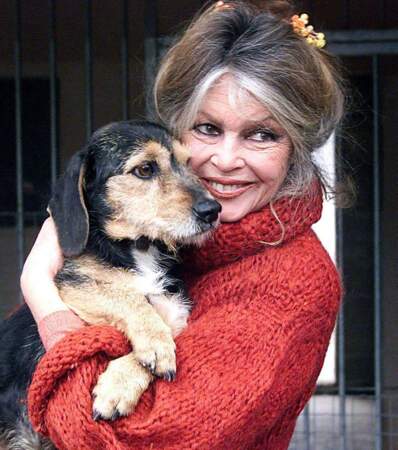 Brigitte Bardot et les animaux, une longue histoire d'amour !