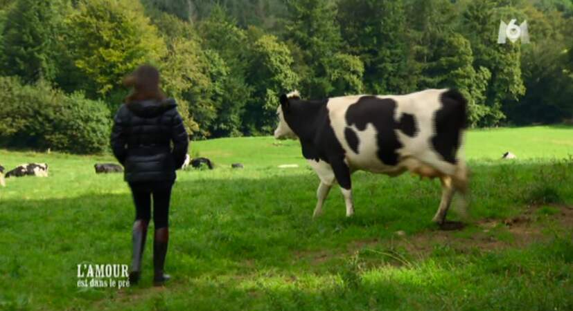 Apeurée la vache préfère s'éclipser. Elle ne souhaite pas exposer sa vie privée aux caméras.