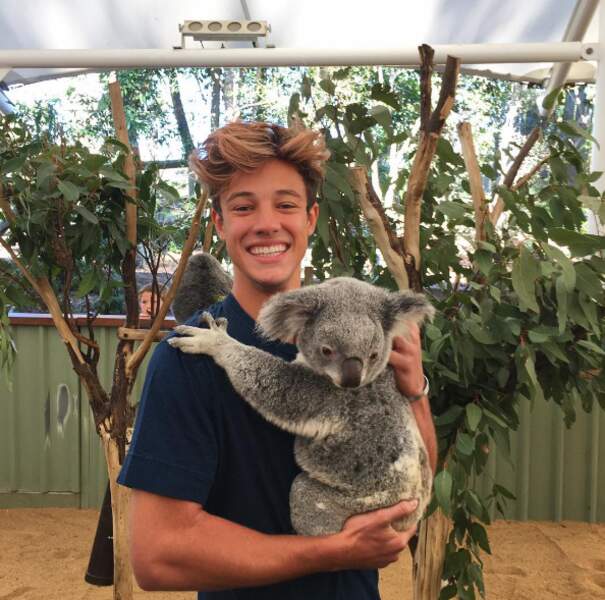 Jalousie : la superstar de Vine Cameron Dallas a fait un câlin à un koala lors de son voyage en Australie. 