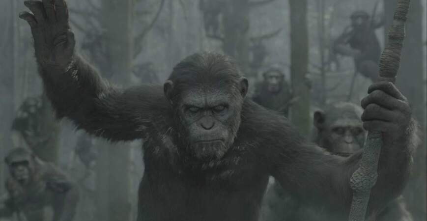 "La planète des singes : l'affrontement" : Matt Reeves est à la réalisation du film