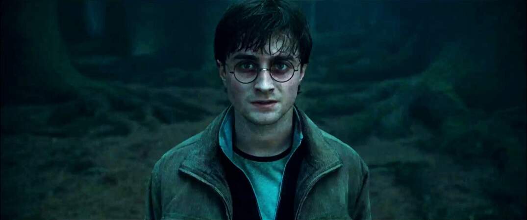 2010-2011. Harry Potter et les Reliques de la Mort