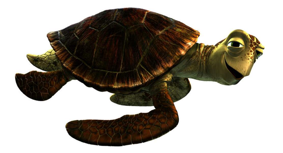 Tout comme son père Crush, la tortue la plus rapide de l'océan