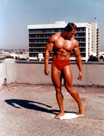 Arnold (Schwarzenegger) le Magnifique