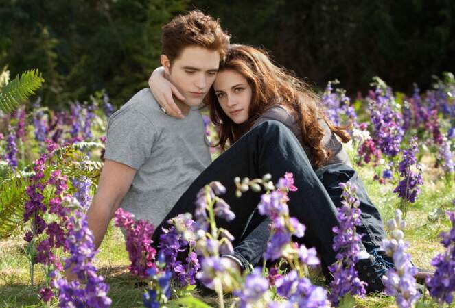 L'univers de ce nouveau Twilight est encore très fleur bleue