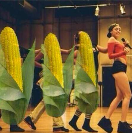 Et sinon, normal, Miley danse avec des épis de maïs ( sinon rien de neuf sous le soleil..) 