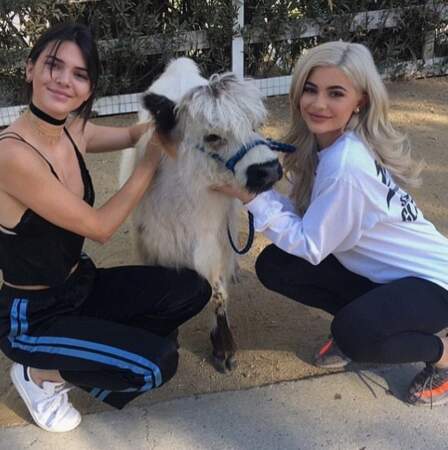 Passons aux insolites de la semaine, avec Kendall et Kylie Jenner qui posent avec une vache à poils longs 