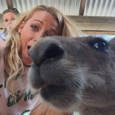 Photobomb ultime : Taylor Swift sur ce selfie de Blake Lively et un kangourou. 