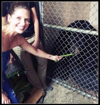 Sarah Michelle Gellar s'est fait de nouveaux copains au zoo !