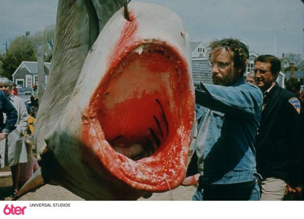 La raison ? Le requin mécanique supporte mal l'eau salée, Steven Spielberg a donc filmé la mer en le suggérant !