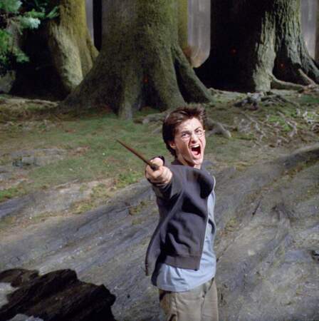 Dans ce volet, Harry doit affronter Sirius Black, un dangereux criminel échappé du pénitencier d'Azkaban
