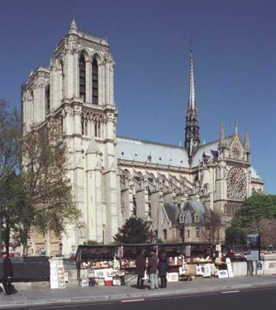 La cathédrale gothique de Notre-Dame de Paris était une merveille architecturale