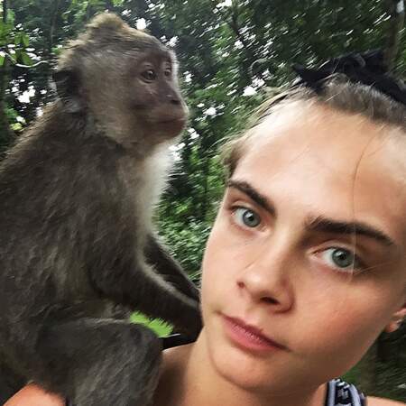 Selfie-monkey* !