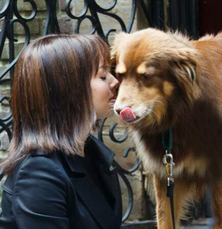 Pendant le tournage à New York, Amanda Seyfried a reçu la visite de son chien Finn