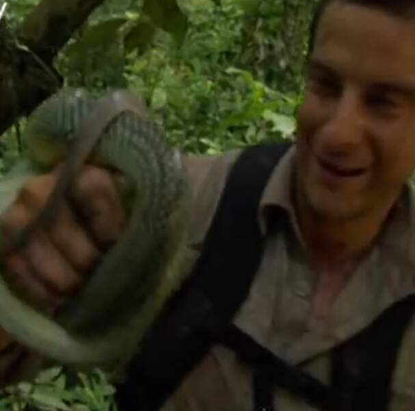 En pleine forêt, Bear s'est retrouvé nez-à-nez avec cet imposant serpent couleur végétation...
