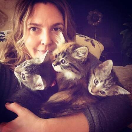 Un peu de douceur : voici les trois chatons adoptés par Drew Barrymore et ses filles. 