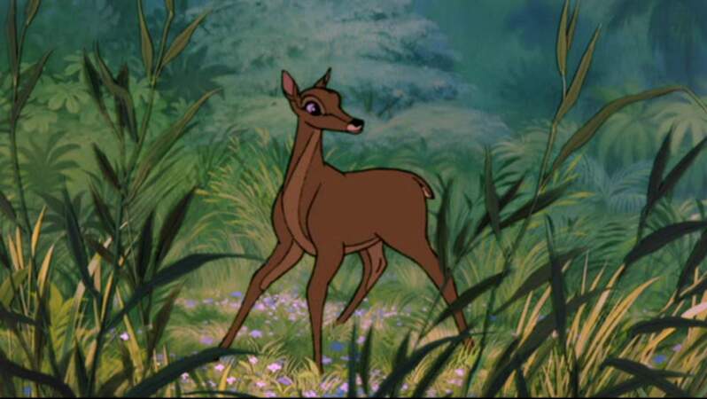 La mère de Bambi est aussi dans le Livre de la jungle. Visiblement, ce film a marqué les animateurs du studio. 