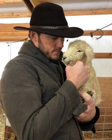 Chris Pratt s'est fait un nouveau copain à la ferme. 