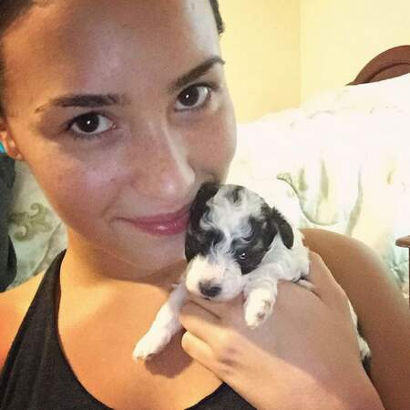 Selfie canin pour Demi Lovato.