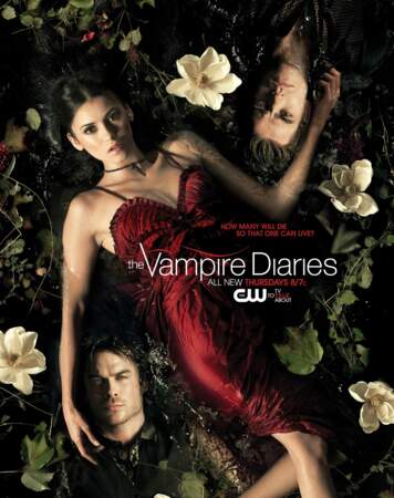 The Vampire Diaries : Entre les deux mon coeur balance...