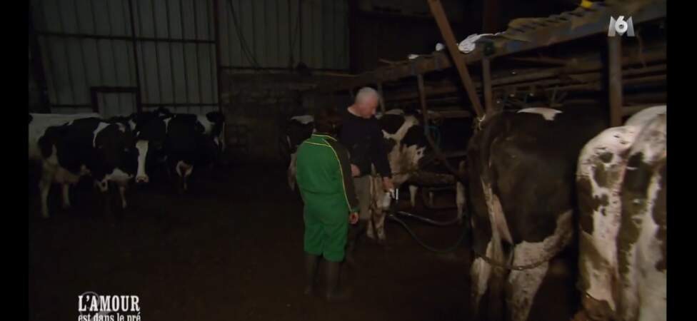 Petite entrevue (glamour) entre Véronique et Bernard auprès des vaches