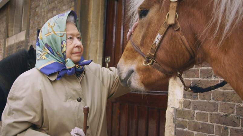Et Elizabeth II, toujours la cravache à la main. 