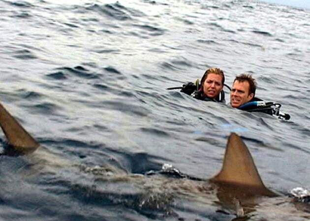 Open Water, en eaux profondes (2004) : quand un couple de plongeurs est oublié dans l'eau...