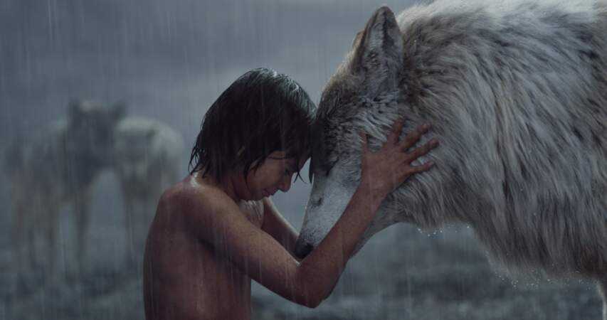 Les adieux déchirants de Mowgli à ses parents-loups. Ici avec la louve Raksha