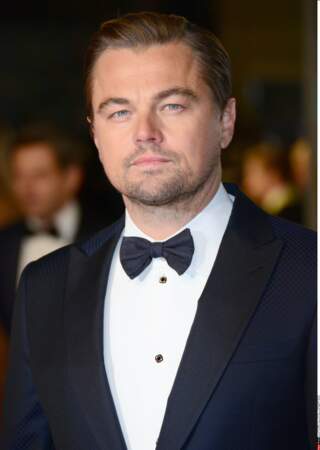 Depuis ses débuts dans la série, Leonardo DiCaprio est devenu une star internationale